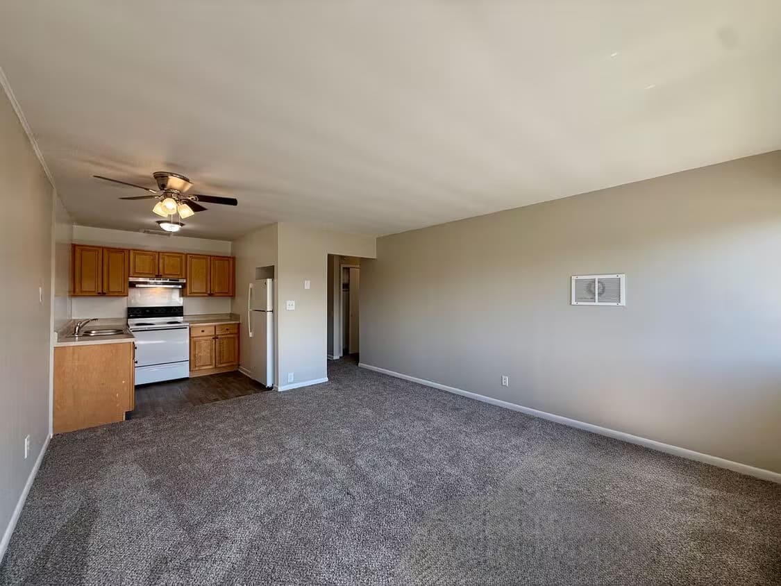 Open living room and kitchen