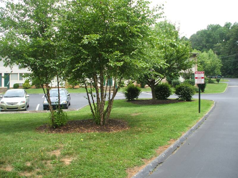 Apartment building exterior with landscaping