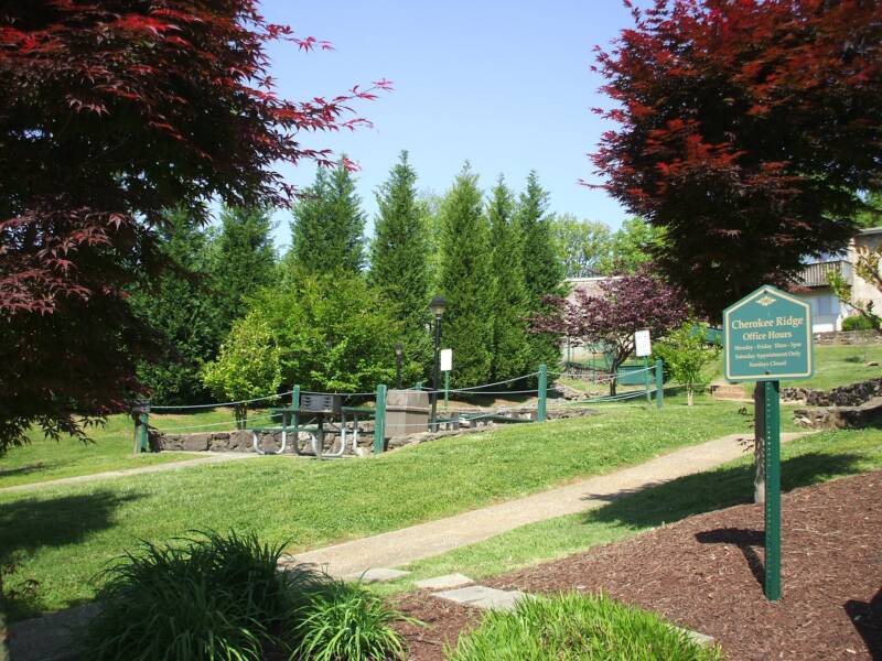 Picnic and grill area